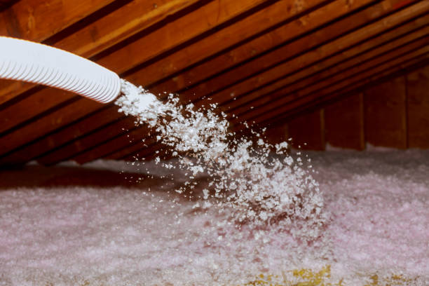 Types of Insulation We Offer in Tarrant, AL
